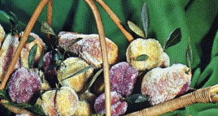 fruit of Azerbaijan