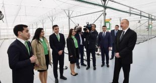 President Ilham aliyev