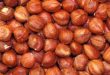 Azerbaijan to export hazelnuts to Latvia