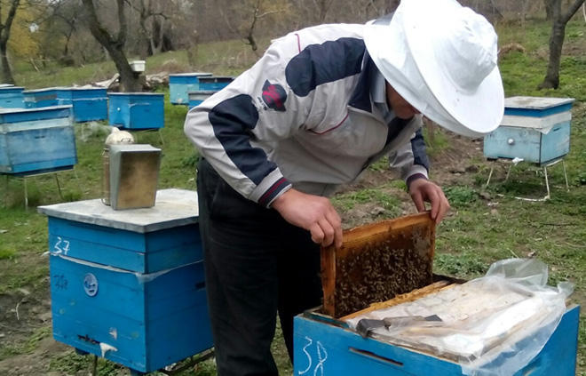 Azerbaijani beekeepers