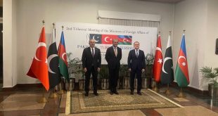 Azerbaijani, Pakistani, Turkish FMs