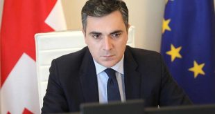 Georgian FM: Authorities are ready to ensure free elections in 2024