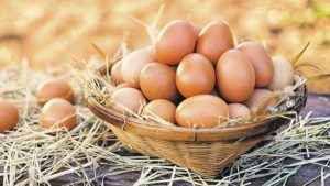 Eggs exports