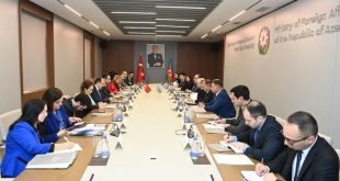 Azerbaijan, Turkiye hold consular consultations